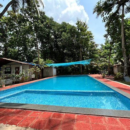 King Villa Goa Palolem Dış mekan fotoğraf