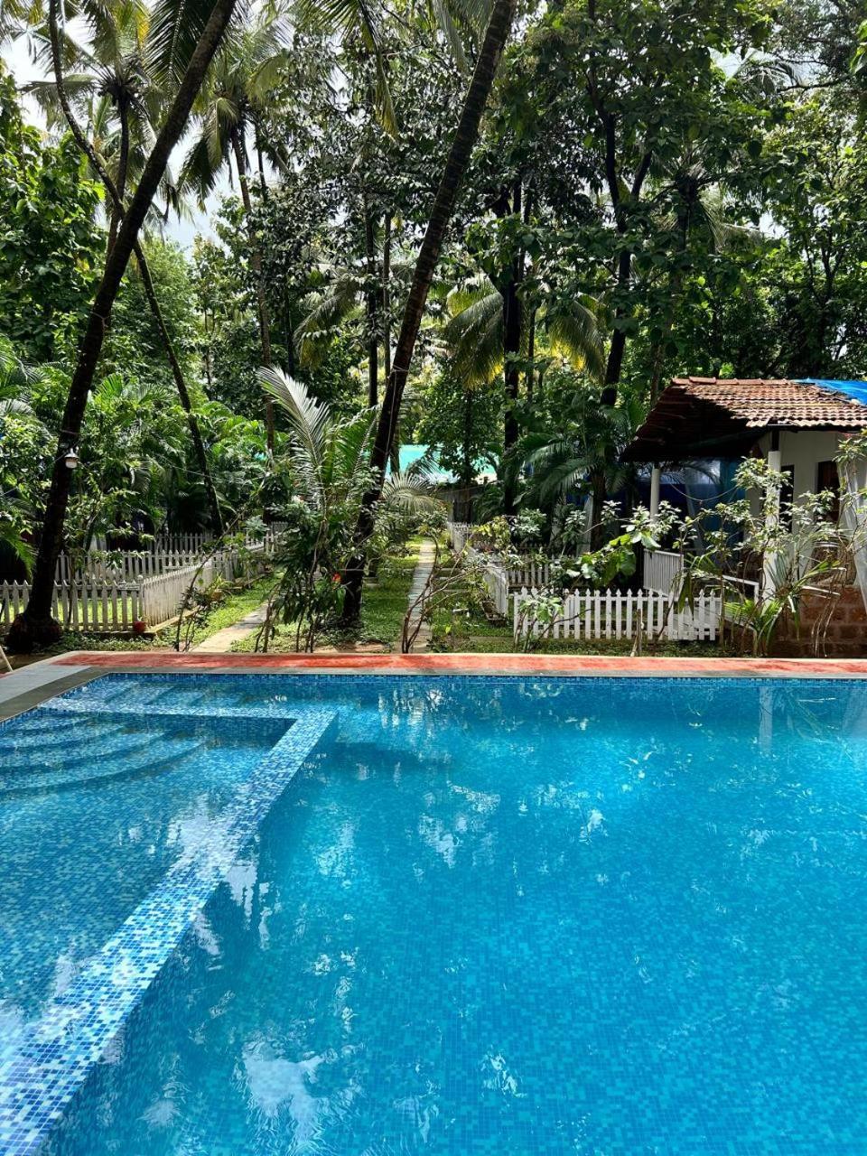 King Villa Goa Palolem Dış mekan fotoğraf